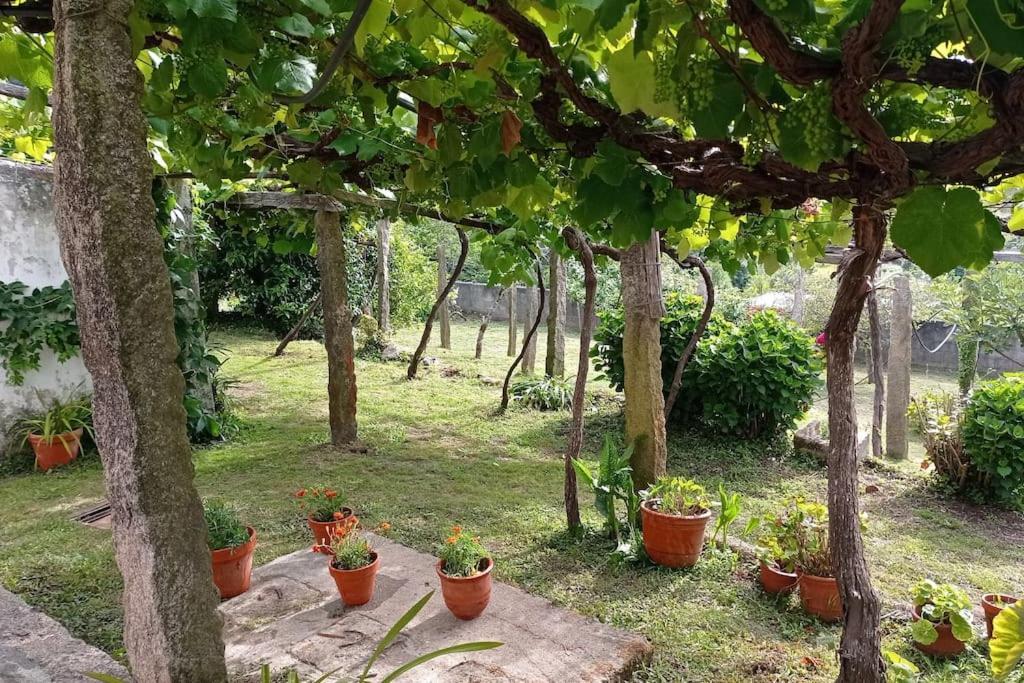 Вилла A Barraca. Casa Con Jardin Y Vistas A La Ria Буэу Экстерьер фото